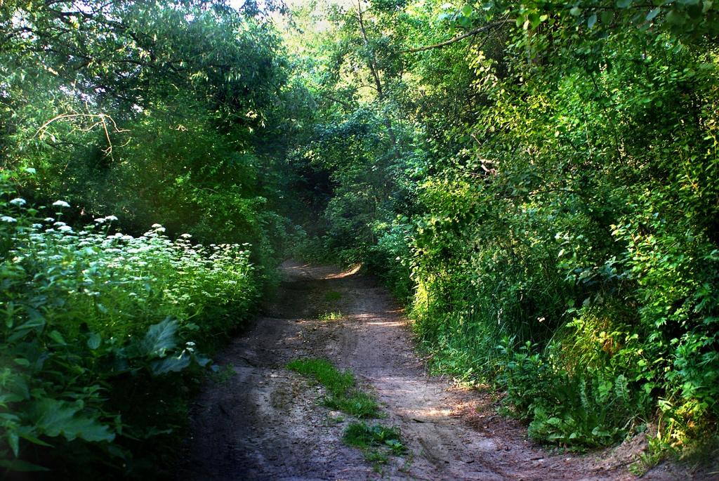 Ehliyet Randevu Iptal Etme